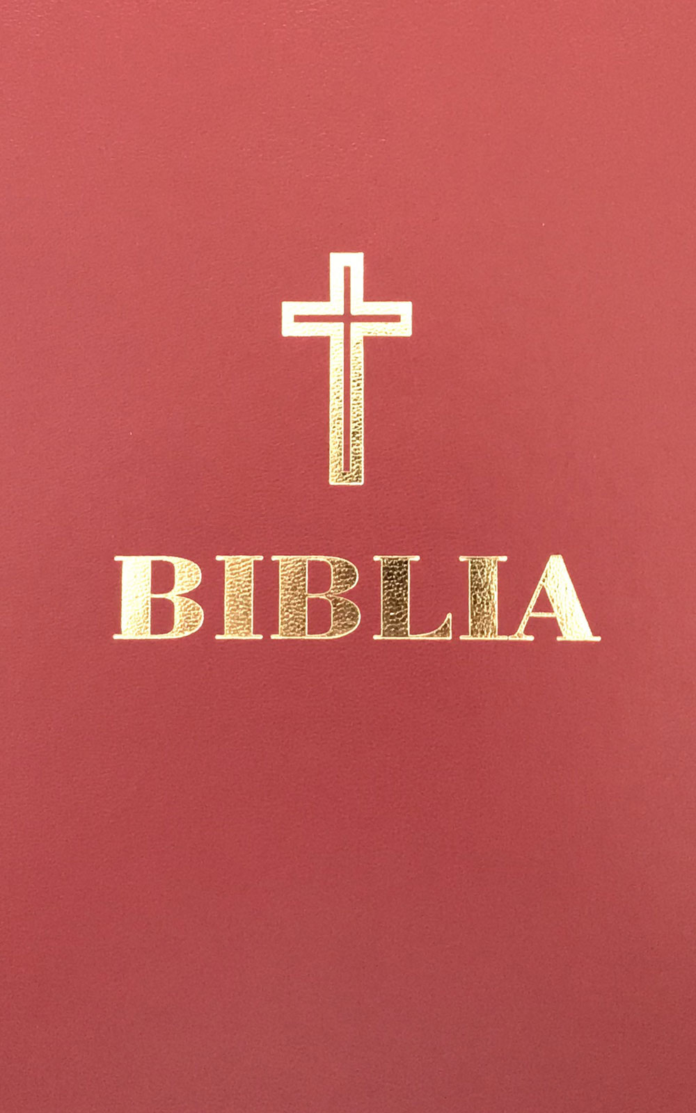 Biblia mica - grena- 053